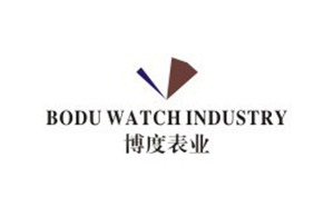 紅瓜子文化傳媒-博度表業企業宣傳片_紅瓜子傳媒優秀企業宣傳片制作